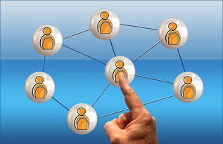 九游jiuyou-高校电竞联赛冠军诞生 战术与团队缺一不可，高校电竞联盟挑战赛全国总决赛